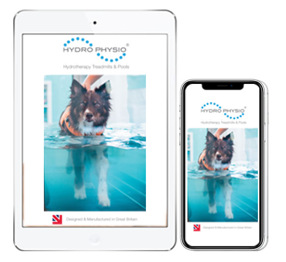 Canine brochure link