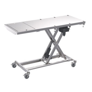 Electric Lift Table with Drainage Tray