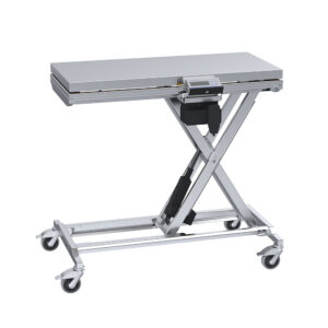 Weigh Scale on Electric Lift Table