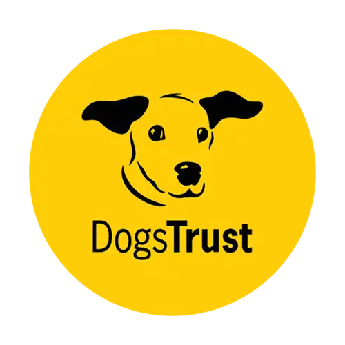 dogs trust 01