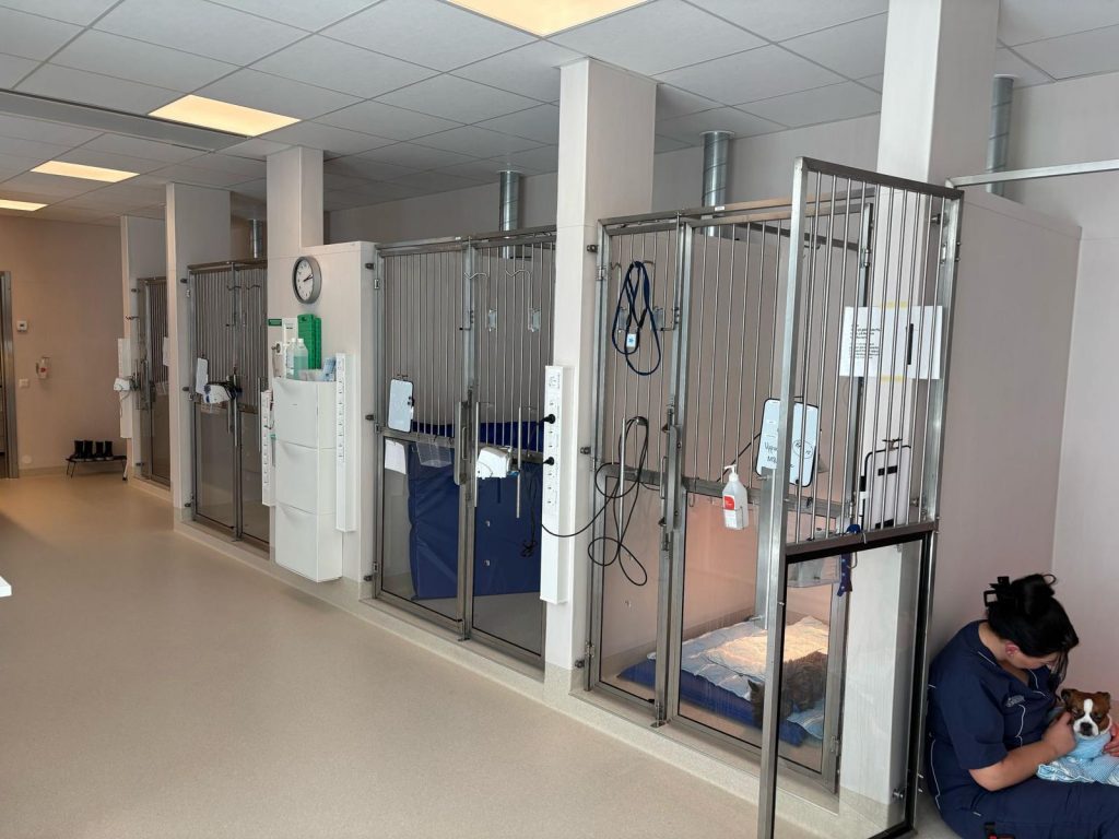 WhatsApp Image 2025 04 28 at 3.18.02 pm 2