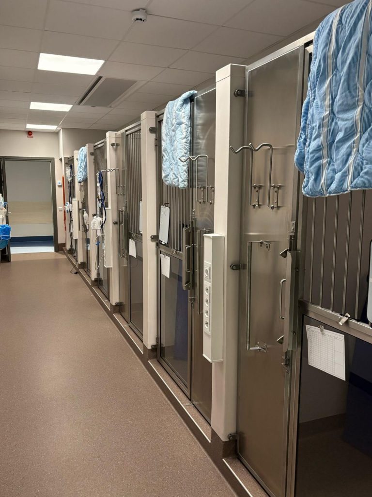 WhatsApp Image 2025 04 28 at 3.18.03 pm 1