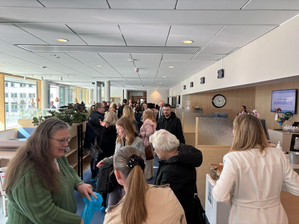 WhatsApp Image 2025 04 28 at 3.18.03 pm 5