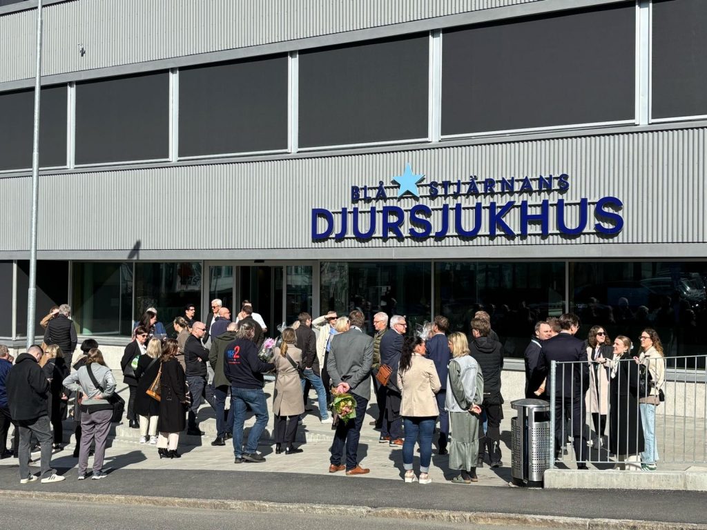 WhatsApp Image 2025 04 28 at 3.18.03 pm 6