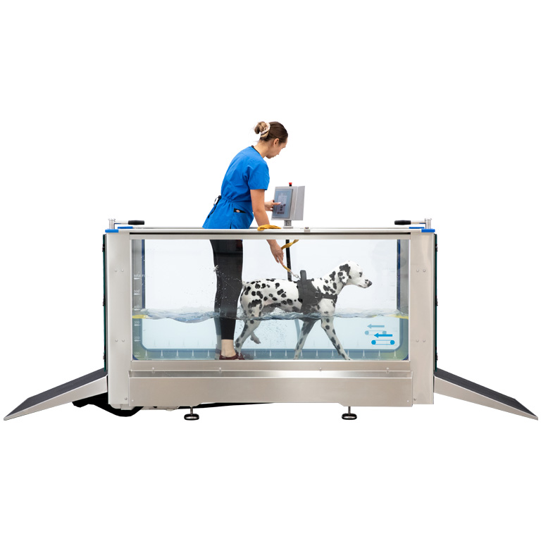 canine hydrotherapy cat img home