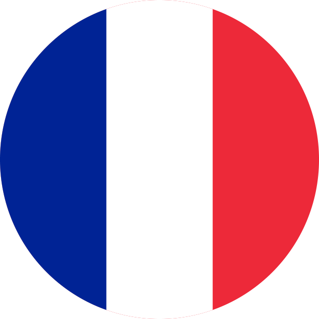 French flag round